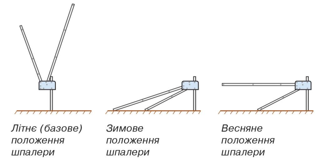 Сезонне положення шпалери