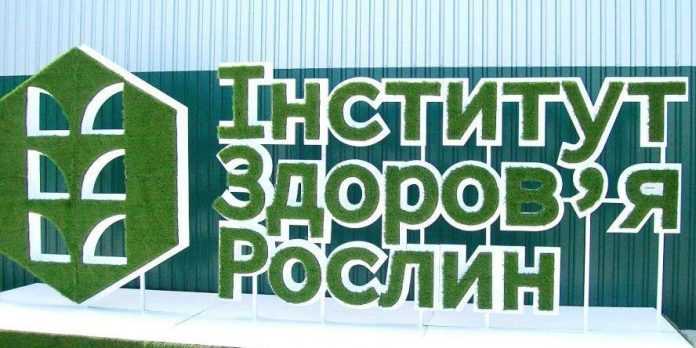 Інститут здоров'я рослин