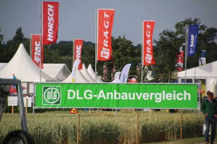 DLG Winter Wheat