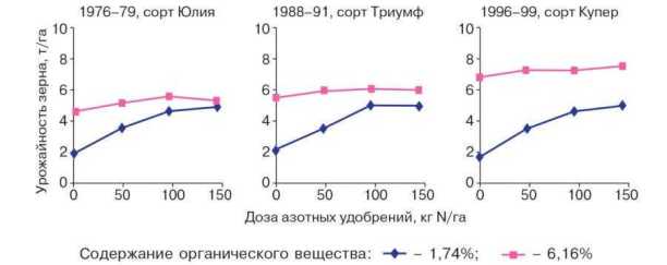 Рис. 1. Отзывчивость трех сортов ярового ячменя с возрастающей потенциальной урожайностью (слева направо) на внесение азотных удобрений в опыте с бессменным ячменем в Хусфилде, Ротамстед
