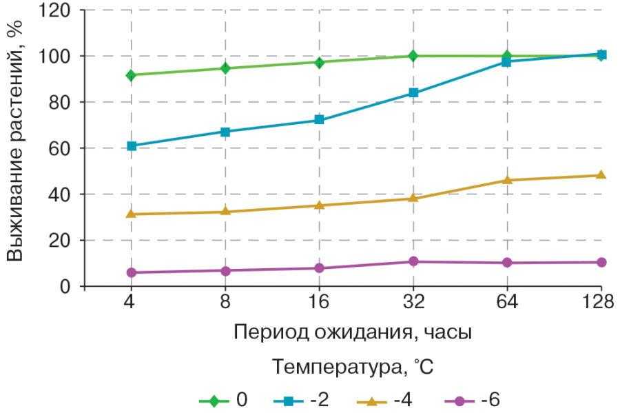 Рис. Влияние периода ожидания перед опрыскиванием гербицидами на выживание растений сахарной свеклы