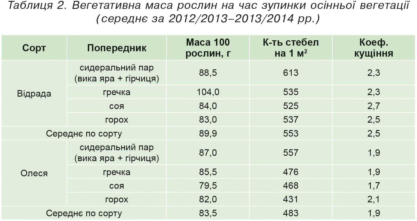 попередники пшениці