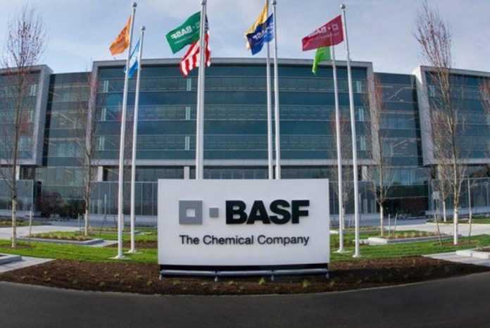 Нова глобальна стратегія BASF стимулюватиме розвиток інновацій в агросекторі