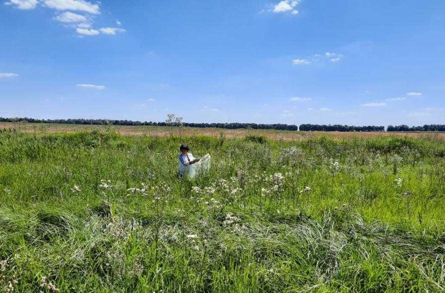 Syngenta змінює підходи ведення аграрного виробництва