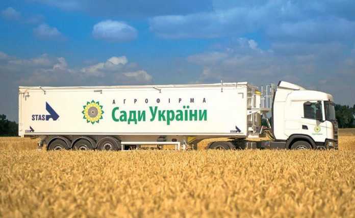 Високоврожайні сорти озимої пшениці від АФ «Сади України»