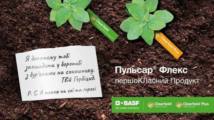 BASF випускає на ринок єдиний універсальний соло-імазамокс гербіцид