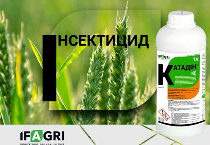 Компанія «Ерідон» презентує на українському ринку інноваційний інсектицид Катадін