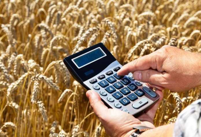 Raiffeisen Bank Aval запроваджує нову програму для клієнтів ALFA Smart Agro