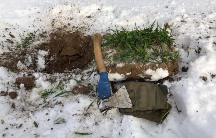 Які і коли проводити зимові дослідження посівів