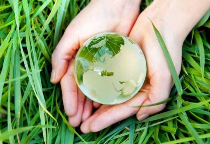 Corteva Agriscience співпрацюватиме з іспанським виробником біопрепаратів