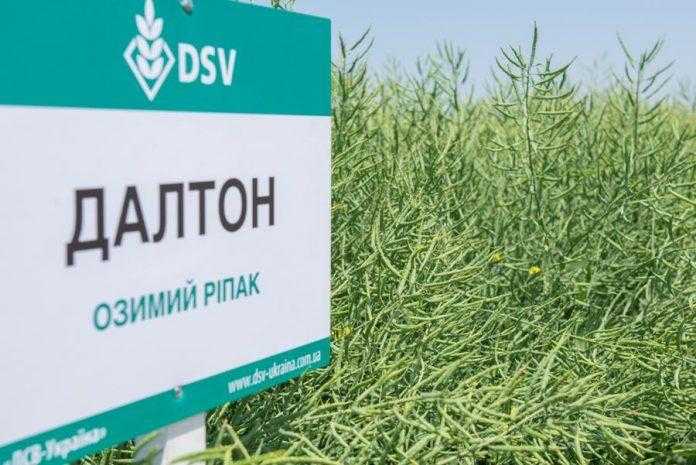 В 2020 році гібридом ДАЛТОН було засіяно понад 32 тис га озимого ріпаку