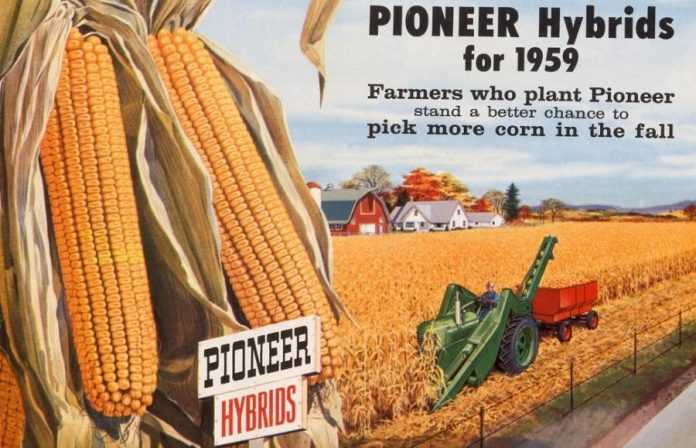 Бренд Pioneer® святкує 95 років лідерства в індустрії