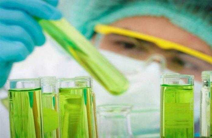 На американських фермах вирощуватимуть біопластик