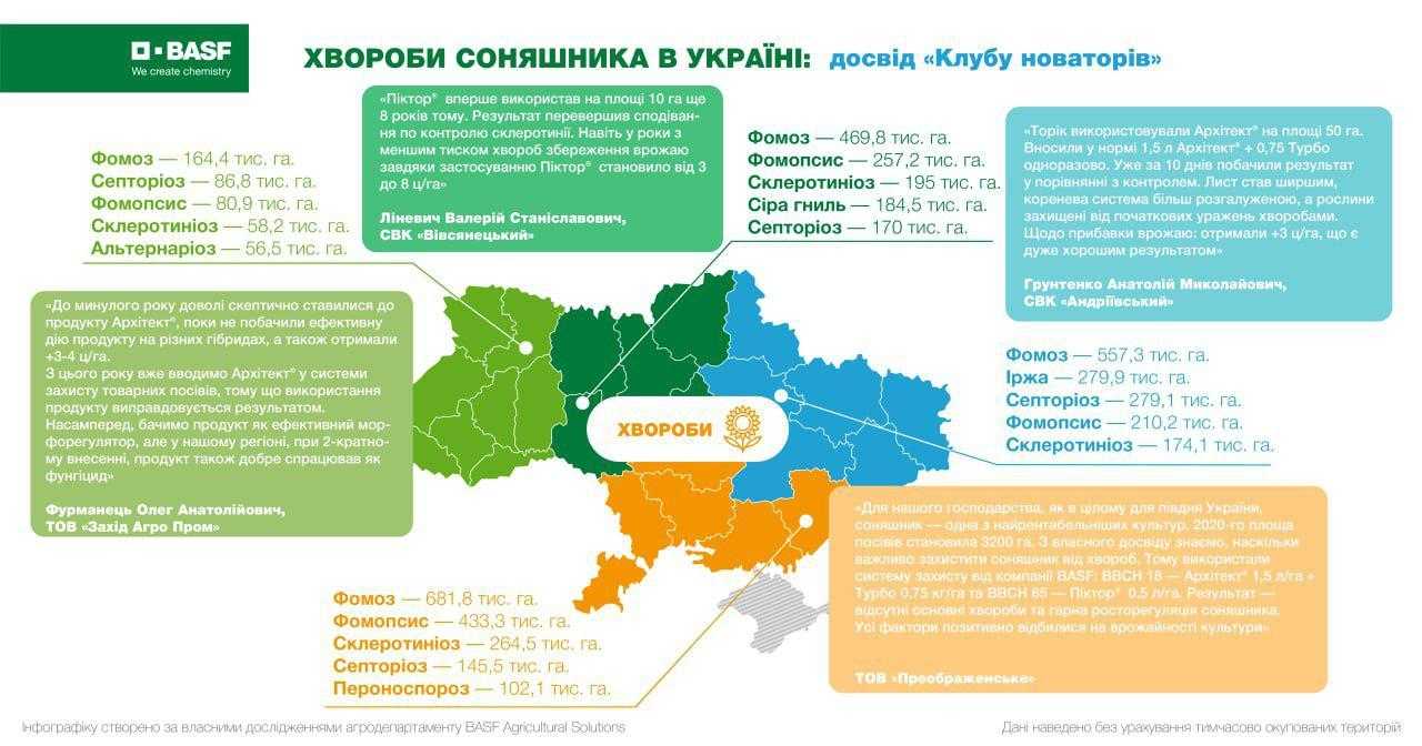 Експерти BASF визначили найнебезпечніші хвороби соняшника