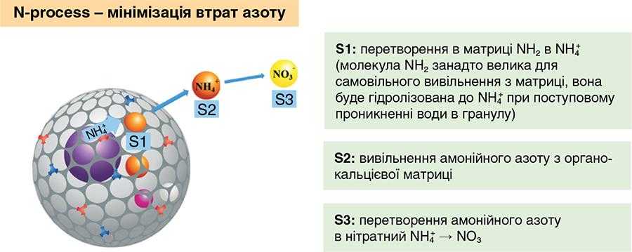 Рис.1. Мінімізація втрат азоту