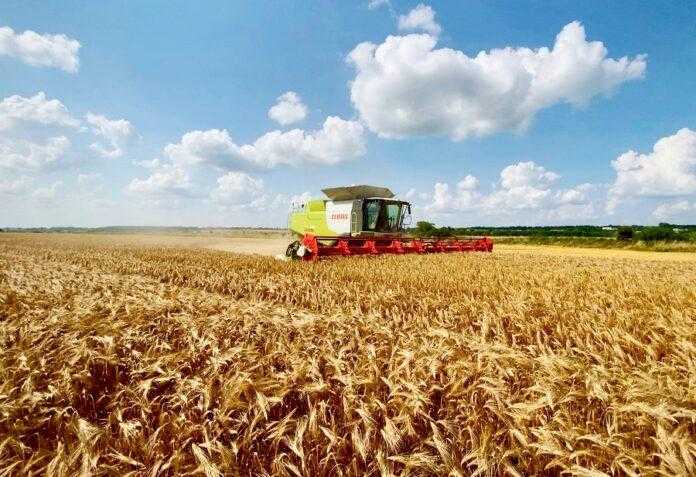 Continental_