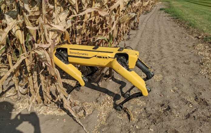 Innovatsiya-Corteva-Agriscience-vykorystovuye-manevrenyh-mobilnyh-robotiv-dlya-peresuvannya-mizh-ryadamy-posiviv