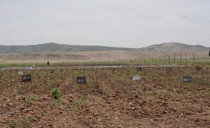 Нова технологія внесення добрив дозволяє значно економити ресурси
