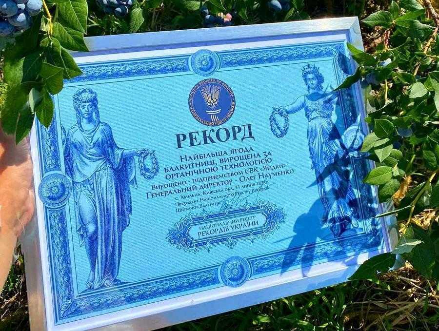 Ягоди лохини, які вирощують на Київщині, потрапили до Книги рекордів України