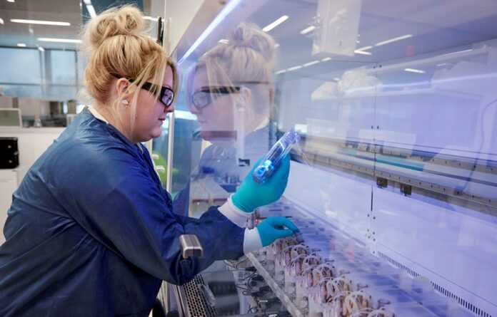Corteva-Agriscience-ta-Elemental-Enzimes-anonsuvaly-rozrobku-innovatsijnogo-biologichnogo-fungitsydu