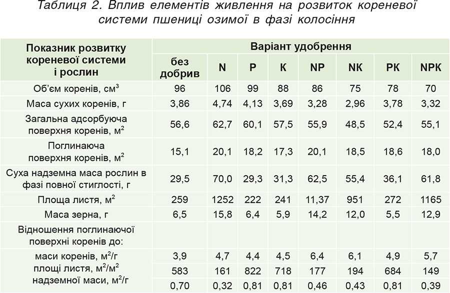 Tablytsya-2.-Vplyv-elementiv-zhyvlennya-na-rozvytok-korenevoyi-systemy-pshenytsi-ozymoyi-v-fazi-kolosinnya Таблиця 2. Вплив елементів живлення на розвиток кореневої системи пшениці озимої в фазі колосіння