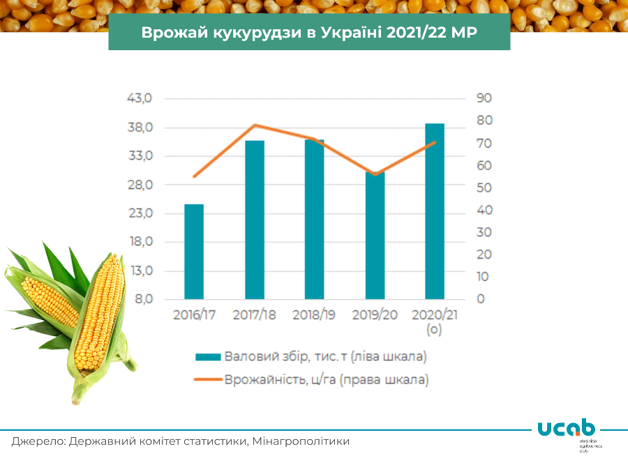 Urozhaj-kukuruzy-nynishnogo-roku-v-Ukrayini-pobye-vsi-rekordy-analityky