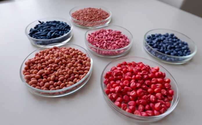 SHHo-posiyesh-te-j-pozhnesh-abo-CHomu-neobhidno-doslidzhuvaty-posivnyj-material-pered-kupivleyu