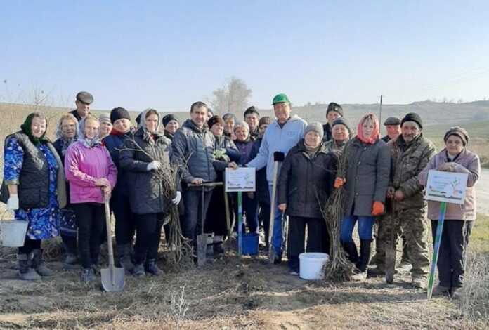 Za-pidtrymky-Kontinental-vysadzheno-ponad-visim-tysyach-derev