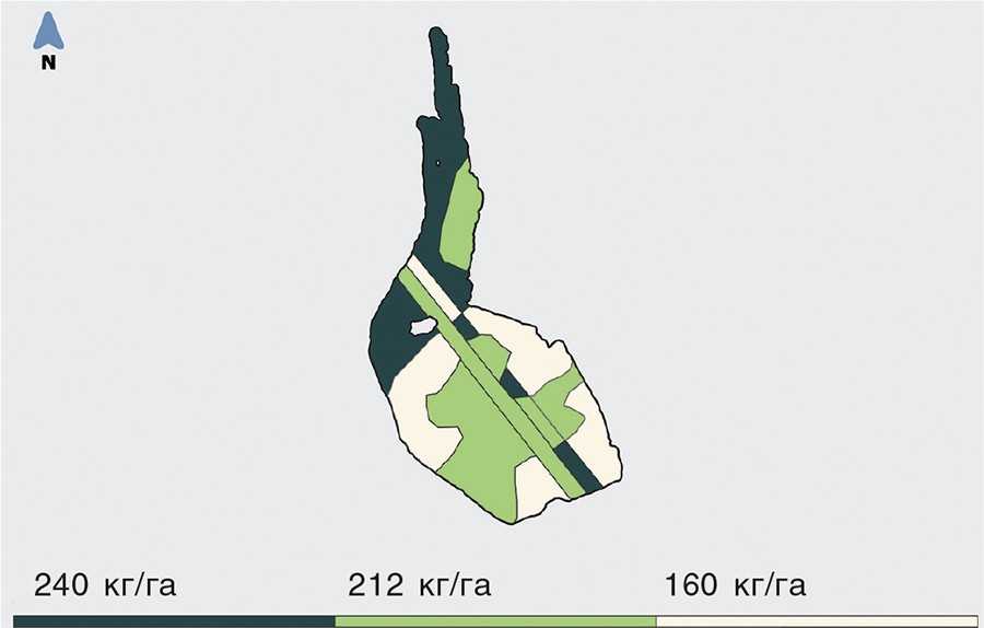Карта-завдання. Смуга з нормою висіву 212 кгга – контрольна. Друга смуга – для перевірки альтернативної гіпотези Карта-завдання. Смуга з нормою висіву 212 кгга – контрольна. Друга смуга – для перевірки альтернативної гіпотези