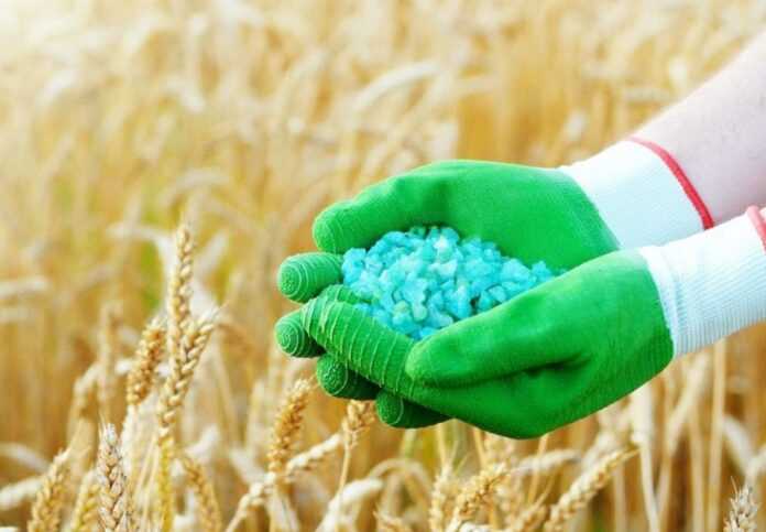 Nazvano-produkt-yakyj-mozhe-chastkovo-zaminyty-mineralni-dobryva