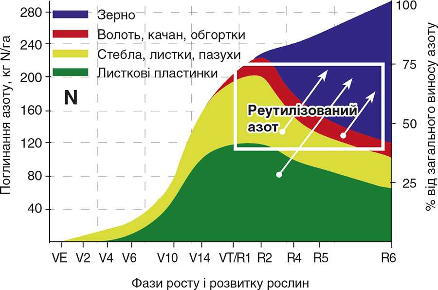 Рис. 2. Динаміка поглинання азоту рослинами кукурудзи впродовж періоду вегетації Рис. 2. Динаміка поглинання азоту рослинами кукурудзи впродовж періоду вегетації
