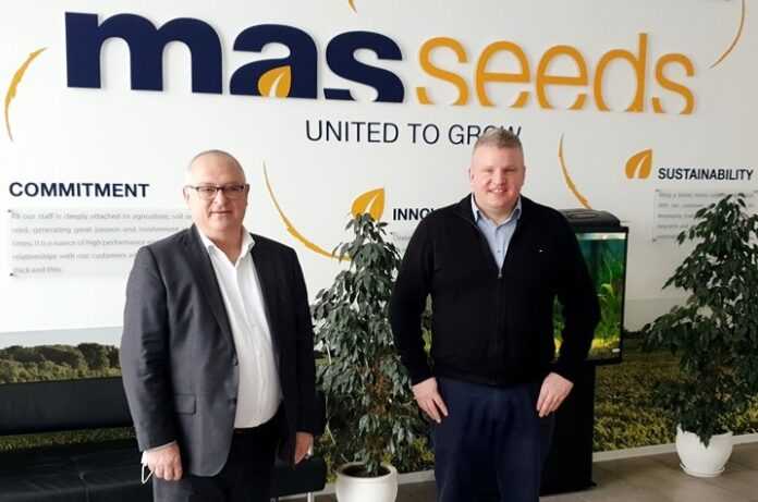 Mas Seeds