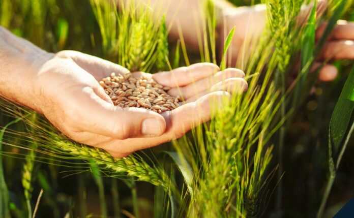 Corteva-Agriscience-zvituye-pro-potuzhni-zdobutky-za-2021-rik-ta-daye-prognoz-na-2022-rik