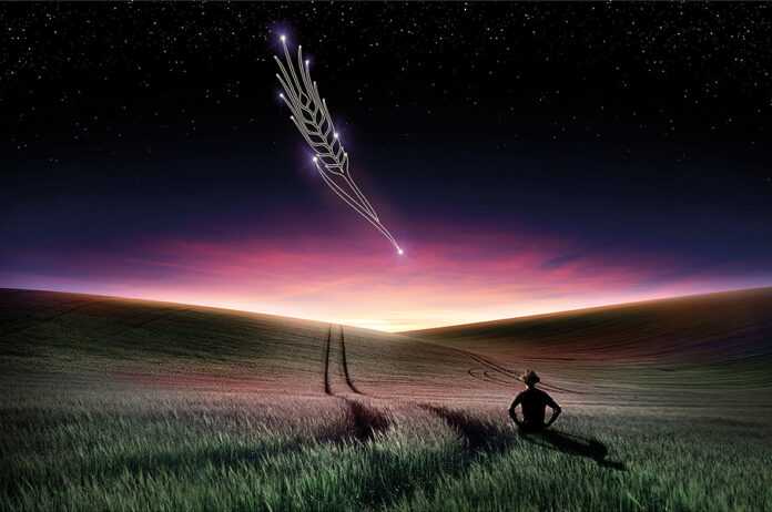 Atlantis-Star-nasolodzhujsya-chystotoyu