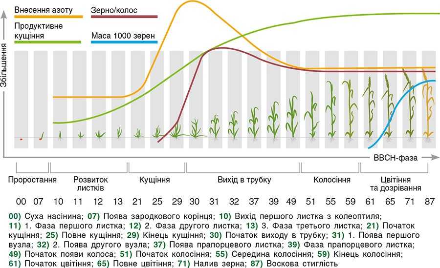 Стратегія роботи з посівами озимої пшениці та гібридного жита навесні 2022 року Стратегія роботи з посівами озимої пшениці та гібридного жита навесні 2022 року