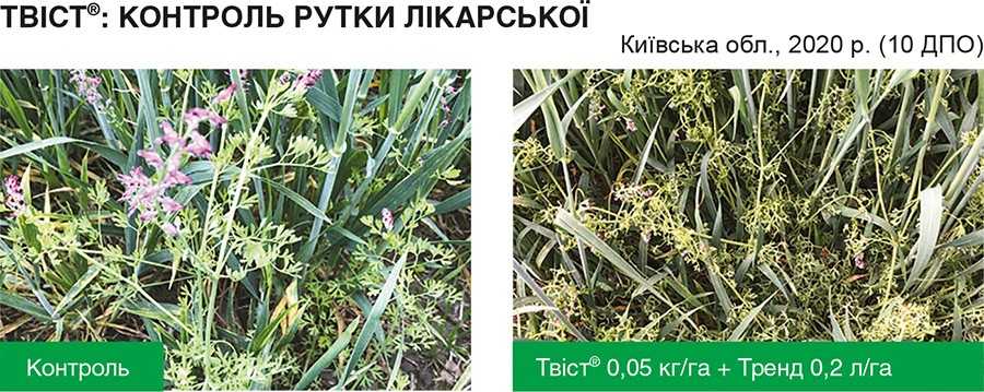 TVIST-KONTROL-RUTKY-LIKARSKOYI ТВІСТ® КОНТРОЛЬ РУТКИ ЛІКАРСЬКОЇ
