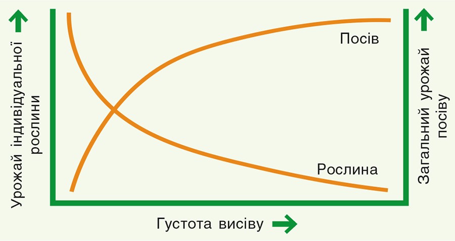 Залежність урожаю соняшнику від густоти висіву Залежність урожаю соняшнику від густоти висіву