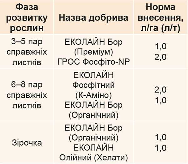 Фаза розвитку рослин Фаза розвитку рослин