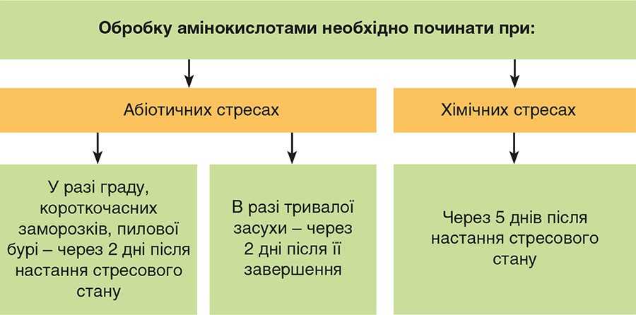 Обробку амінокислотами необхідно починати при Обробку амінокислотами необхідно починати при
