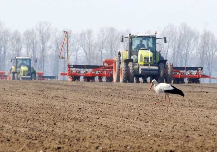 Posivna-2022-agrariyam-najbilshe-ne-vystachaye-palnogo-i-azotnyh-dobryv