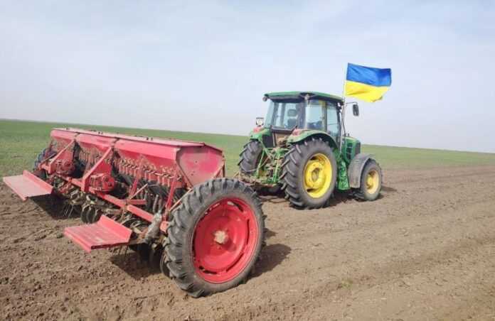 Vnaslidok-vijny-v-Ukrayini-ne-bude-mozhlyvosti-zasiyaty-30-ploshh
