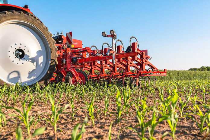 STEKETEE-EC-Weeder_5