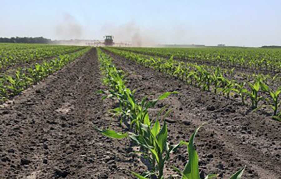 STEKETEE-EC-Weeder_7 STEKETEE-EC-Weeder_7