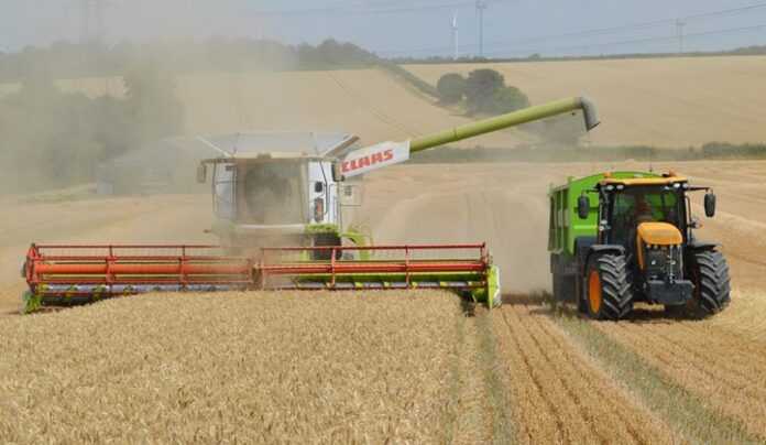 Harvesting-wheat