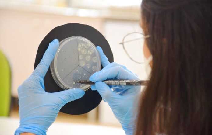 Corteva-Agriscience-pidpysala-ugodu-pro-prydbannya-Symborg-lidera-rynku-biologichnyh-rishen
