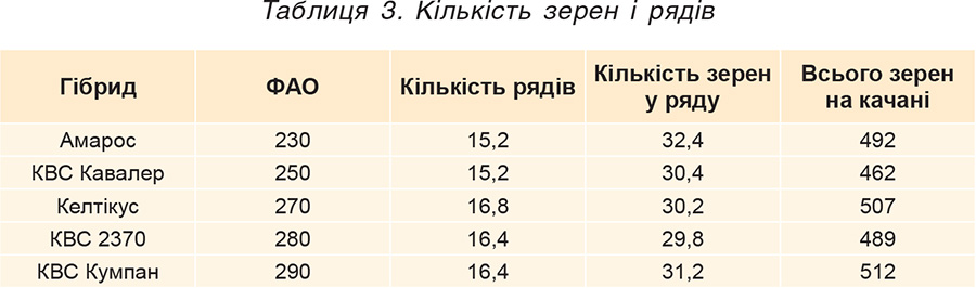 Таблиця 3. Кількість зерен і рядів Tablytsya-3.-Kilkist-zeren-i-ryadiv