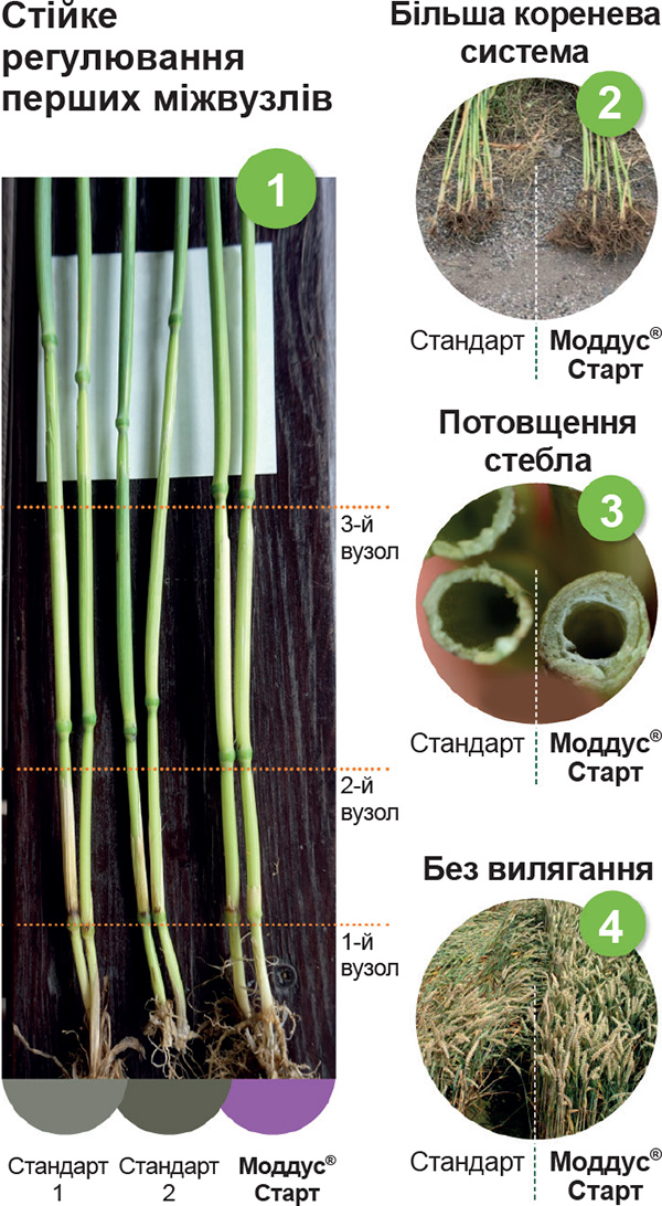 Moddus-Start-efektyvnyj-menedzher-posiviv-2 Moddus-Start-efektyvnyj-menedzher-posiviv-2