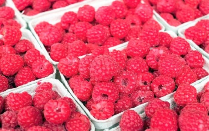 FAO-ta-YES-rozpochynayut-grantovu-programu-dlya-fermeriv-na-zahodi-Ukrayiny