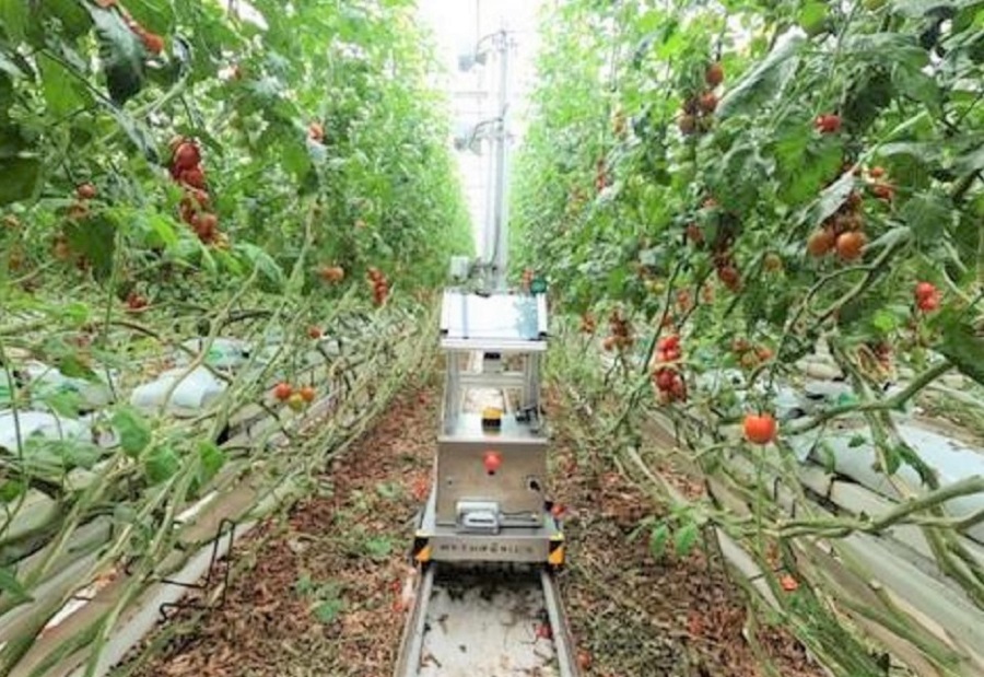 Robot-rozvidnyk-vyyavlyaye-hvoroby-roslyn-ta-vyznachaye-chas-zboru-urozhayu