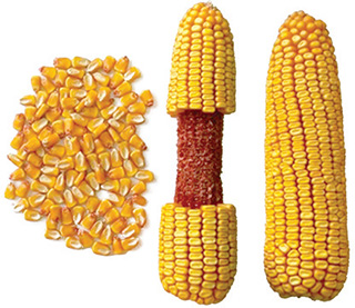 R8904-FAO-280 R8904-FAO-280